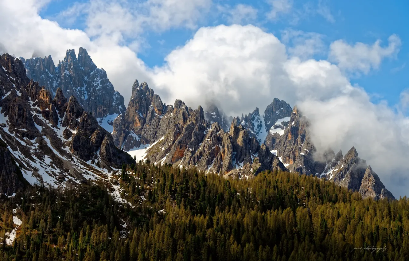 Фото обои лес, небо, облака, горы, скалы, весна, Италия, пики