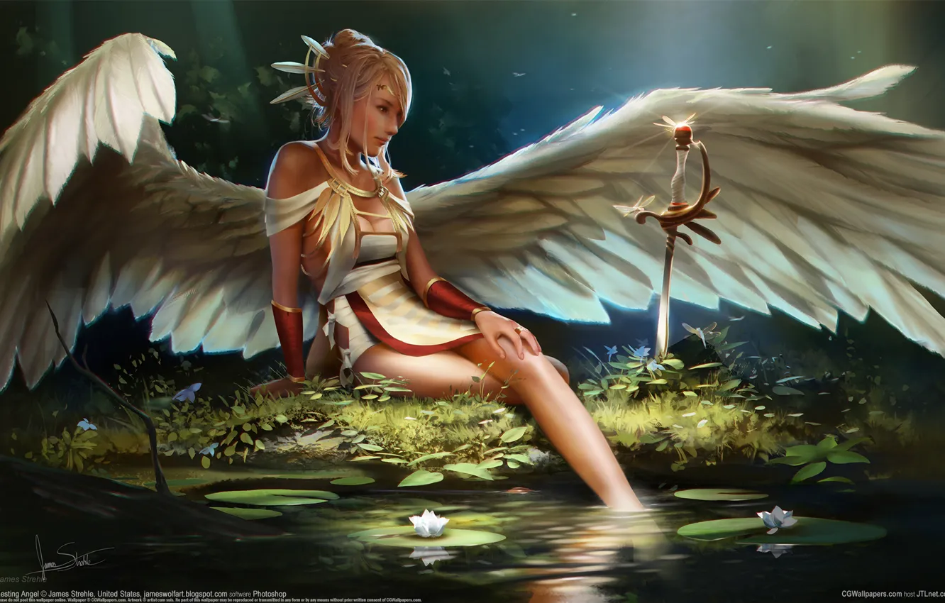 Фото обои девушка, пруд, крылья, ангел, сабля, James Strehle