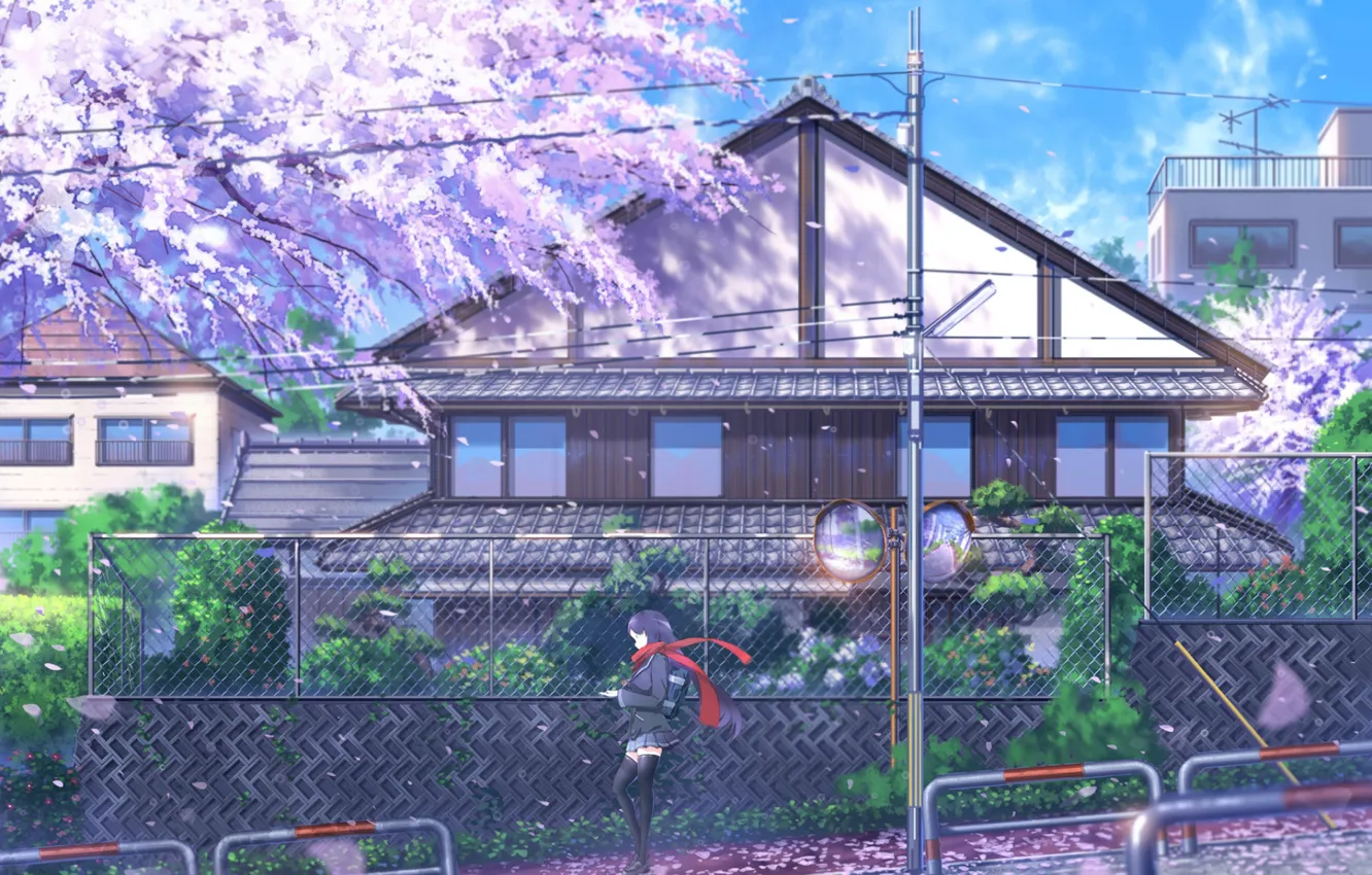 Фото обои провода, забор, столб, весна, Япония, сакура, школьница, цветение