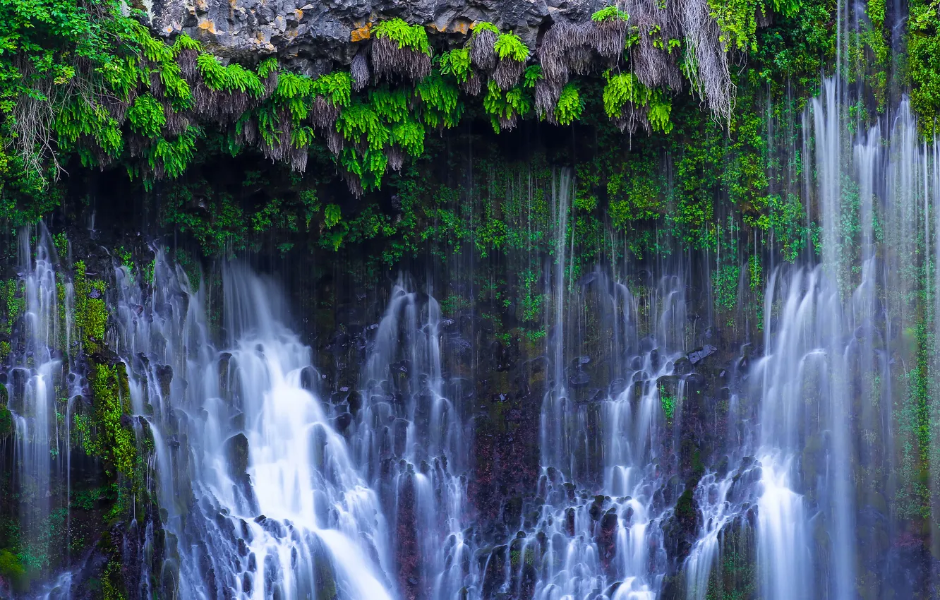 Фото обои природа, скала, растения, California, Northern California, водпад, McArthur-Burney Falls Memorial State Park, Cayton