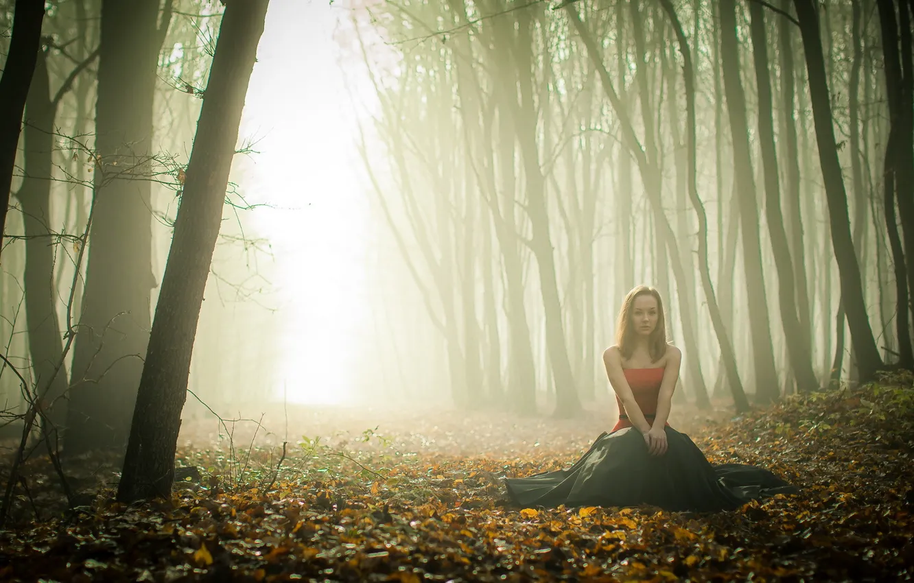 Фото обои осень, лес, девушка, туман