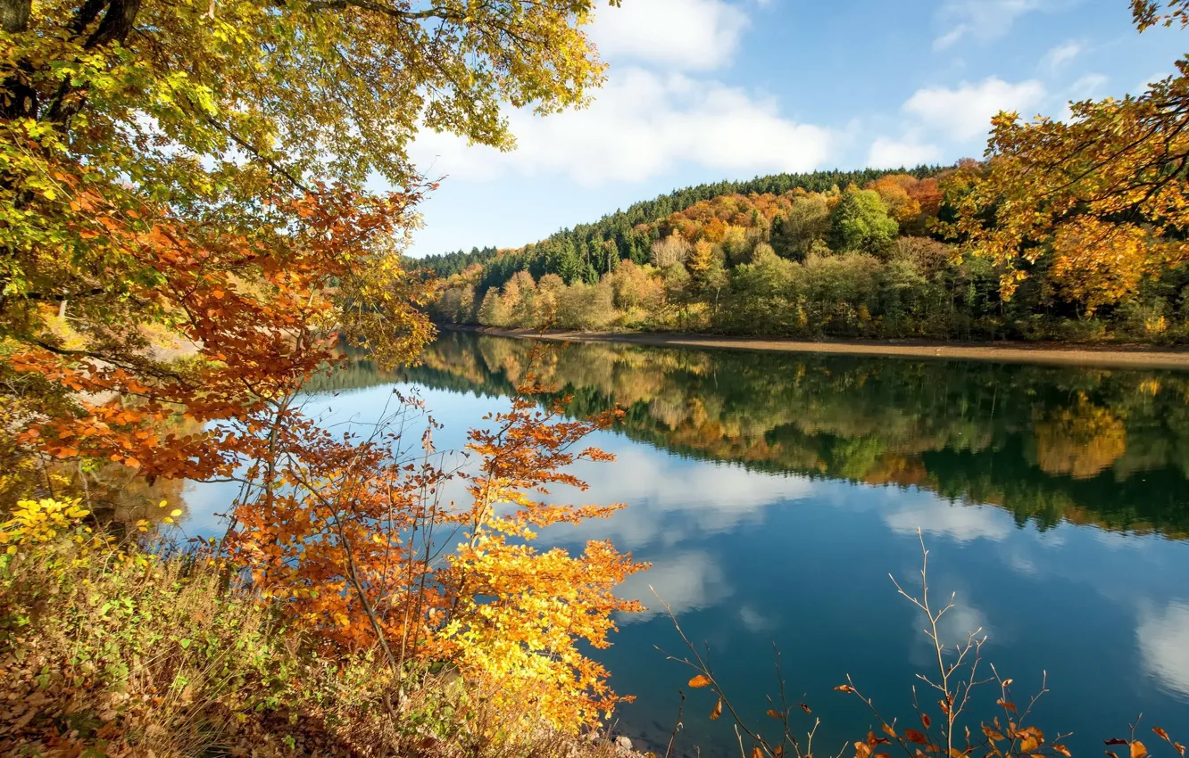 Фото обои осень, лес, небо, пейзаж, природа, озеро, красота, жёлтые листья