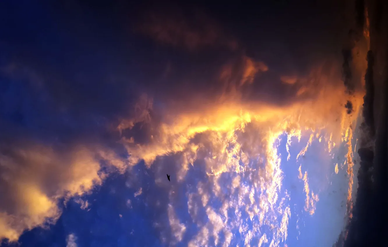 Фото обои sky, cloud, suhart, rainy