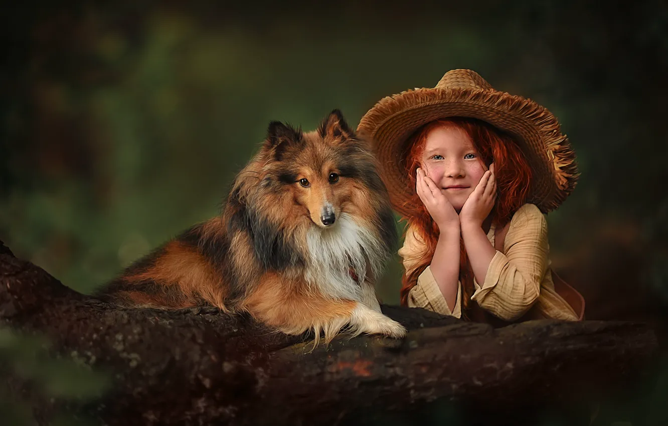 Фото обои собака, шляпа, девочка, рыжая, бревно, рыжеволосая, шелти, шетландская овчарка