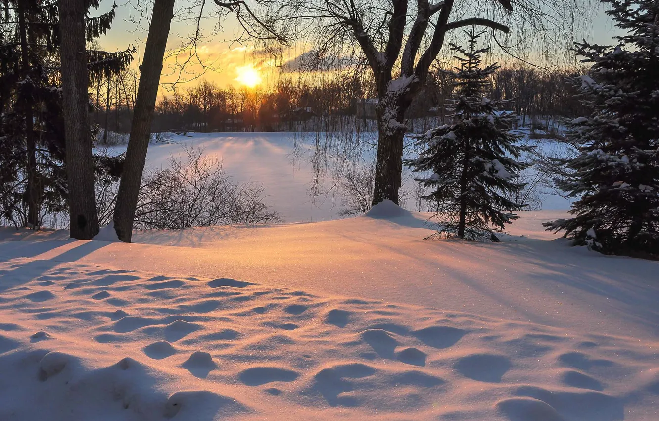 Фото обои зима, солнце, снег, пейзаж, закат, природа, ели, дервья