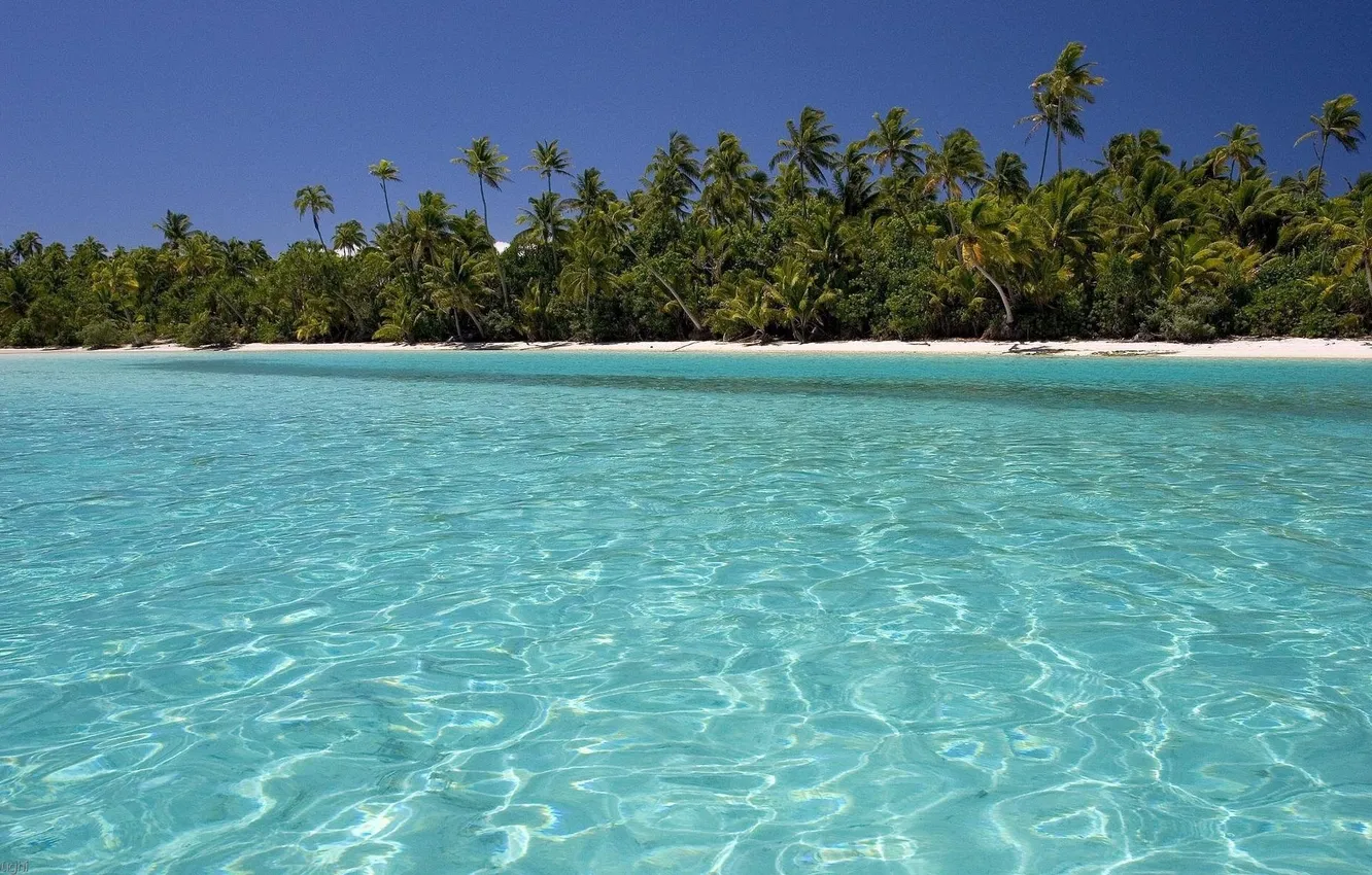Фото обои море, лето, вода, пальмы, остров, красивые обои
