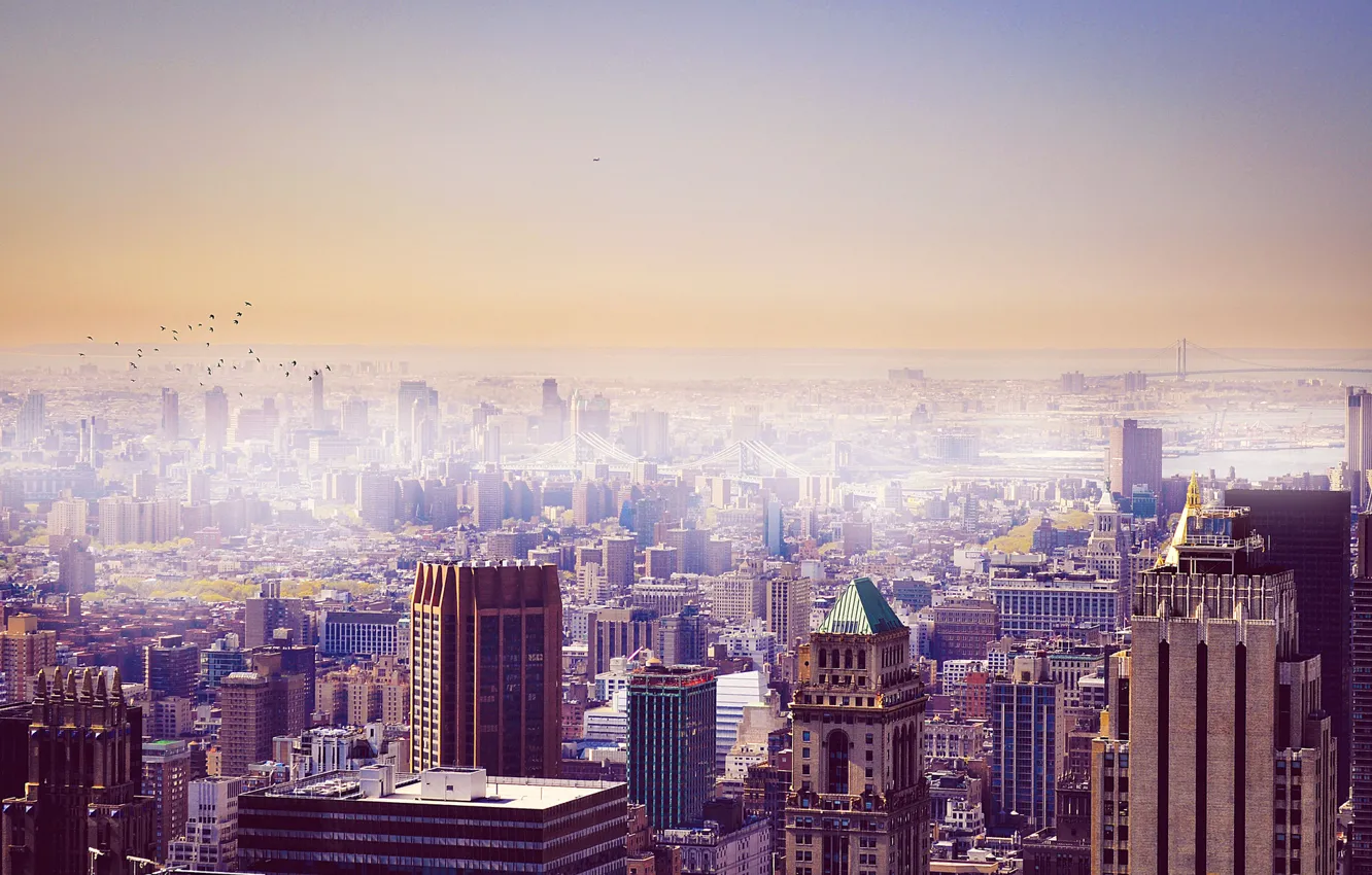 Фото обои небо, птицы, город, здания, New York