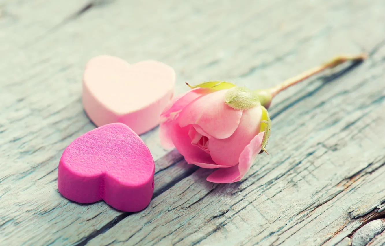 Фото обои цветок, фон, дерево, розовый, widescreen, обои, настроения, сердце