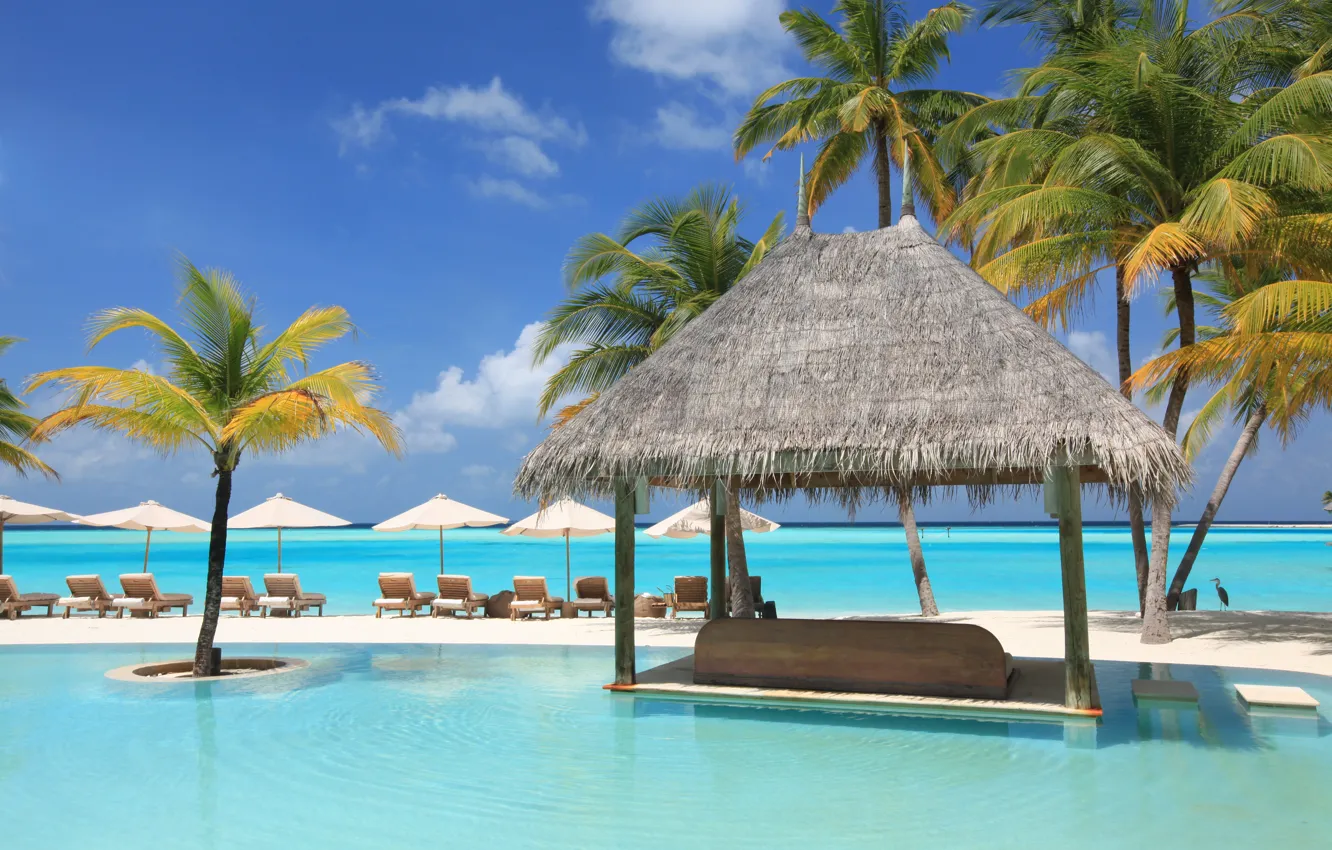 Фото обои пальмы, океан, отдых, бассейн, relax, экзотика