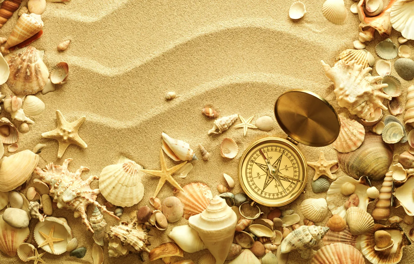 Фото обои песок, космос, ракушки, раковины, морские звёзды