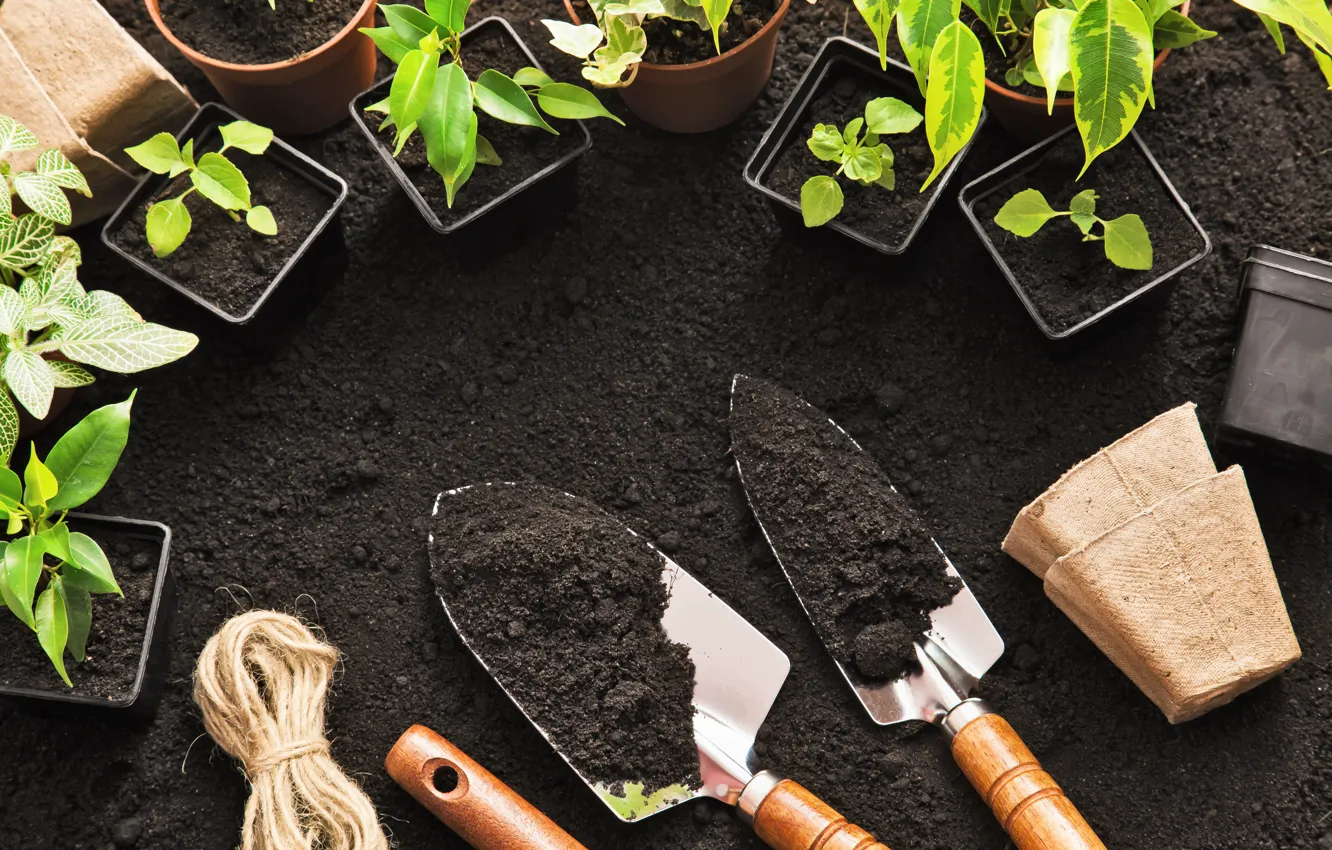 Фото обои plants, tools, Gardening, sparks, soil