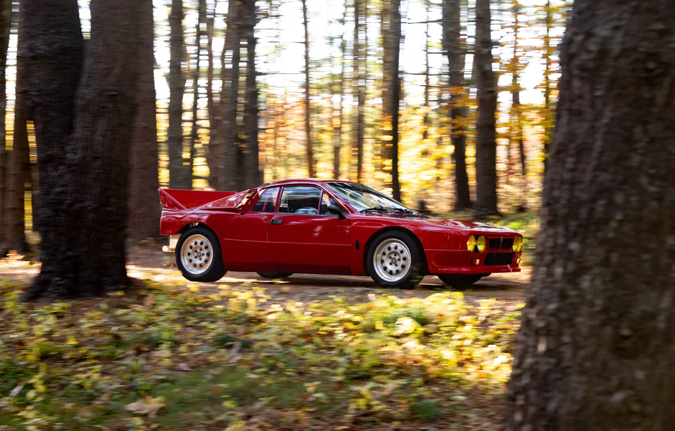 Фото обои Lancia, Rally, 1982, sports car, Lancia Rally 037 Stradale