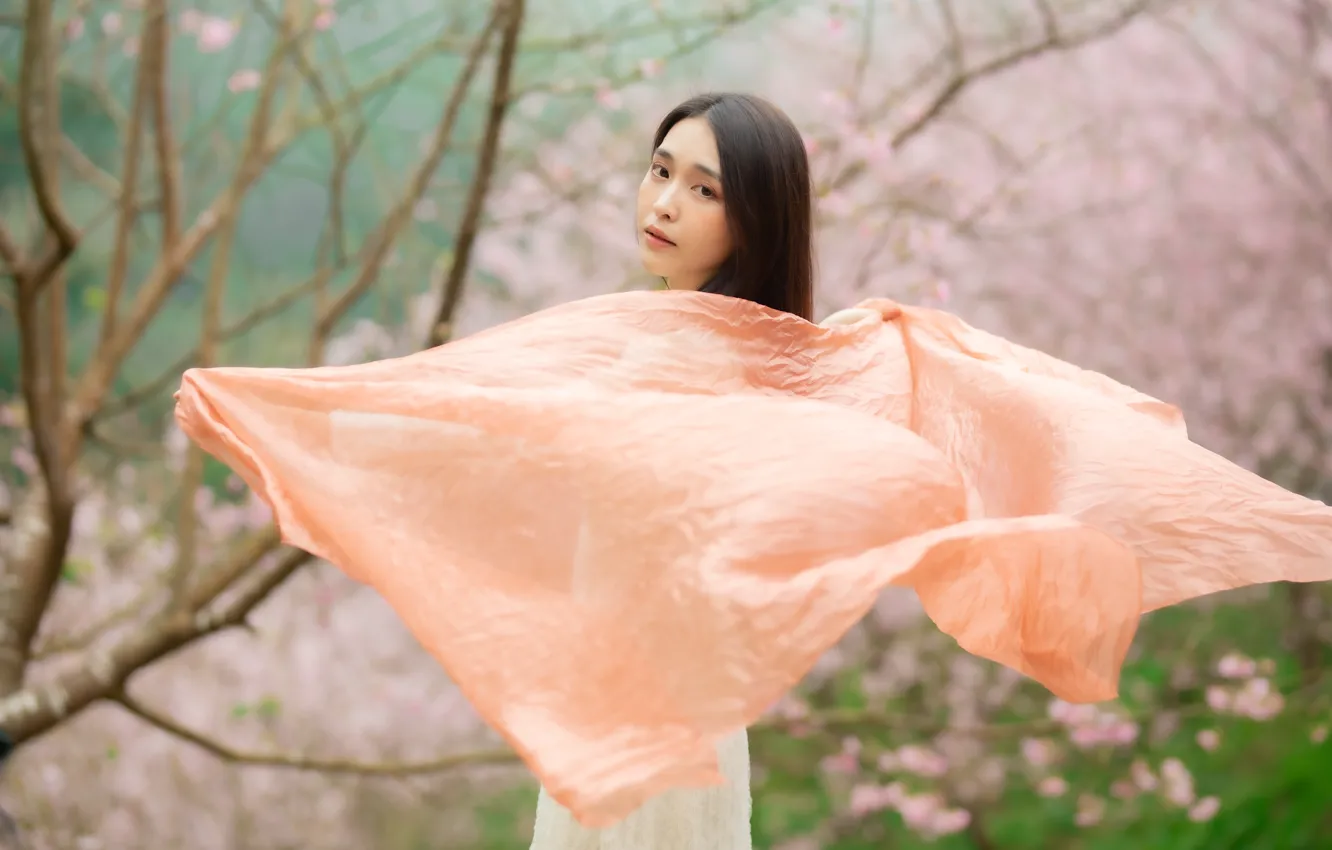Фото обои girl, sexy, girls, woman, model, china, asian, cute