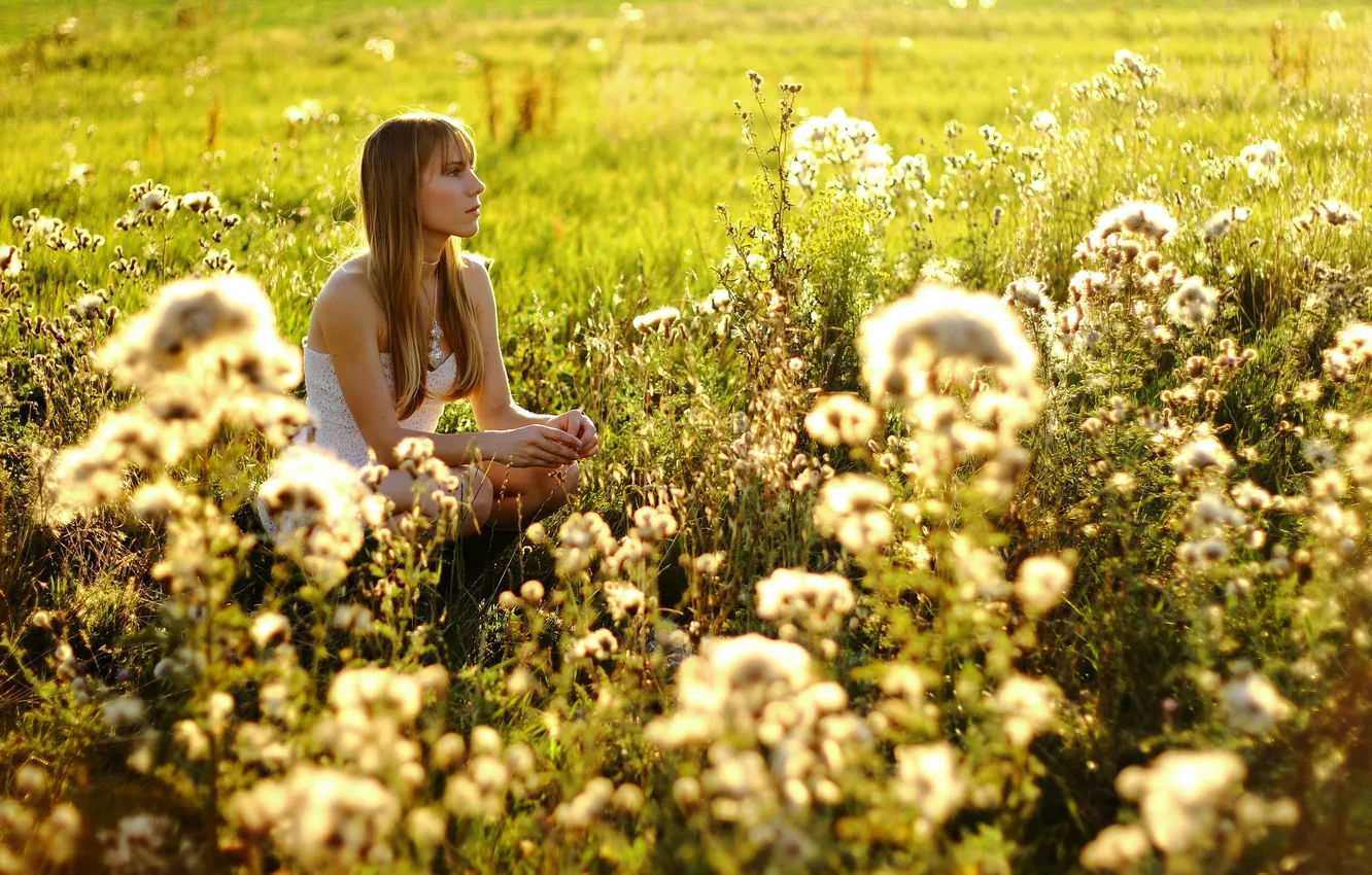 Фото обои поле, лето, девушка, настроение