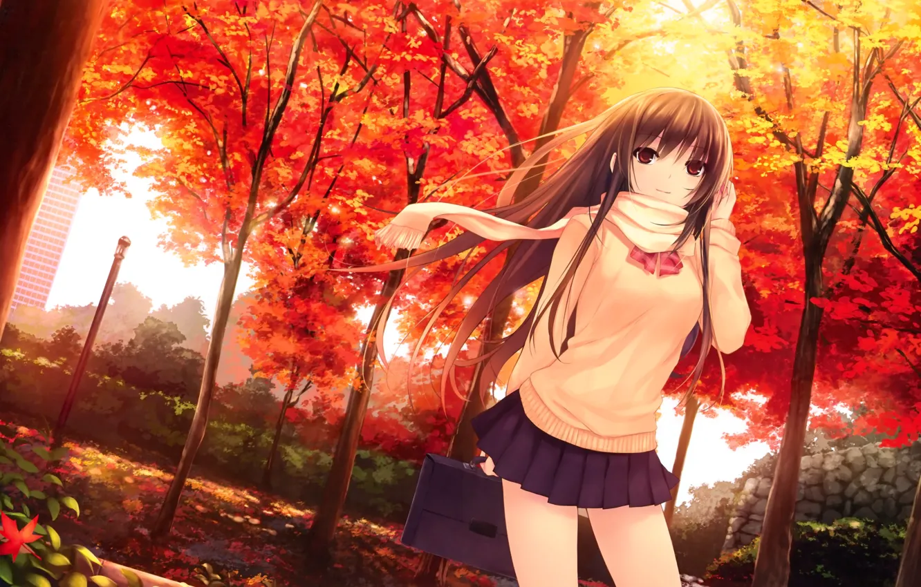 Фото обои осень, листья, девушка, деревья, юбка, шарф, длинные волосы, свитер