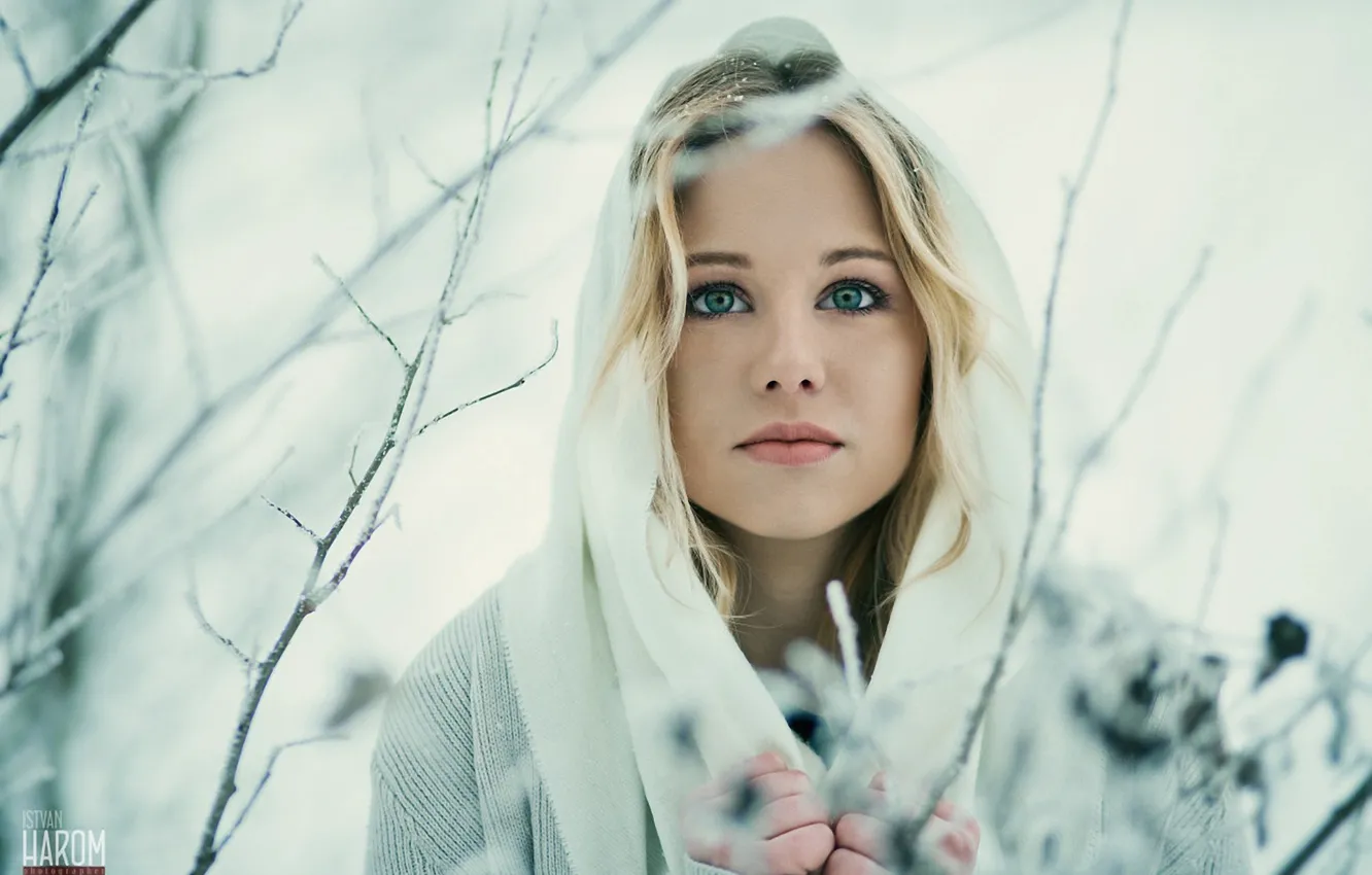 Фото обои зима, ветки, портрет, прическа, блондинка, красотка, платок, Petra