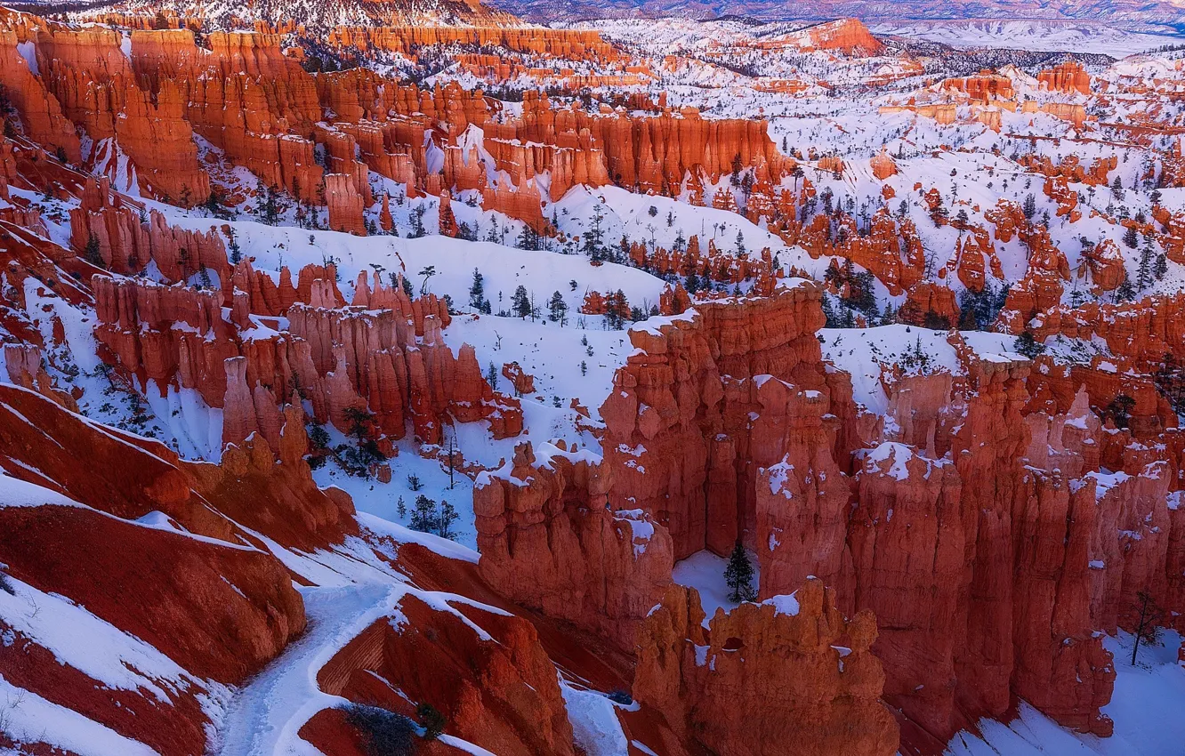 Фото обои зима, снег, природа, каньон