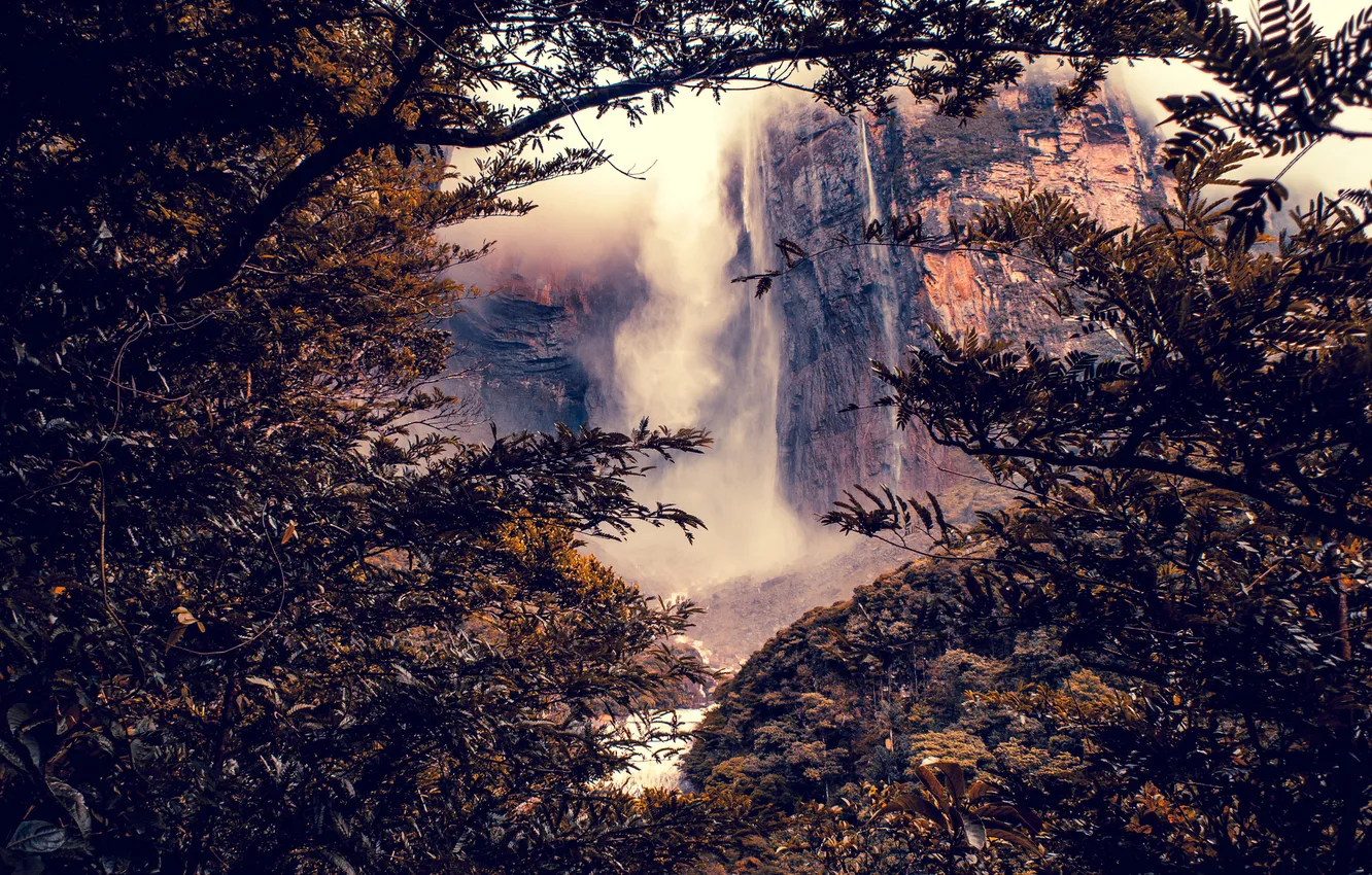 Фото обои деревья, брызги, скала, ветви, водопад