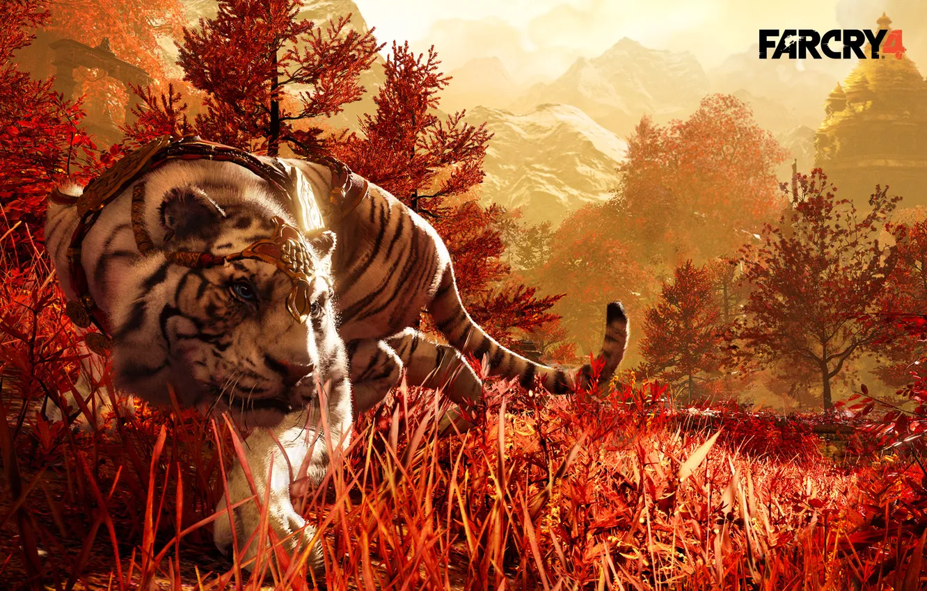 Фото обои трава, тигр, хищник, tiger, крадется, far cry 4, companion, shangrila