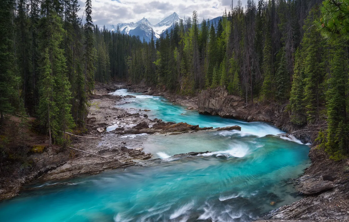 Фото обои лес, горы, река, скалы, поток, Канада