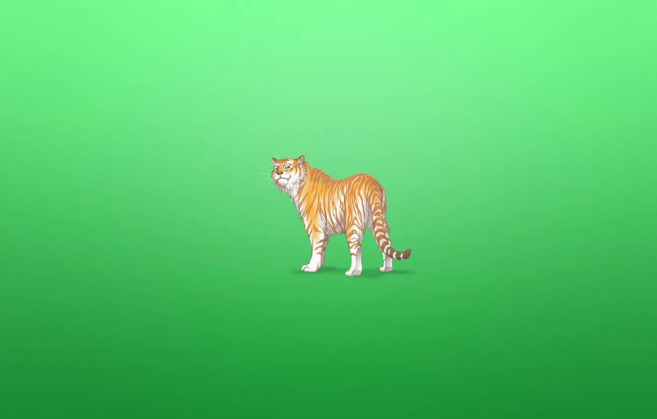 Фото обои тигр, животное, минимализм, tiger, зеленоватый фон, хитрая морда