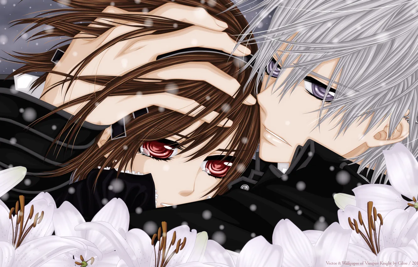 Фото обои взгляд, снег, цветы, слезы, объятия, Vampire Knight, Yuki, Zero