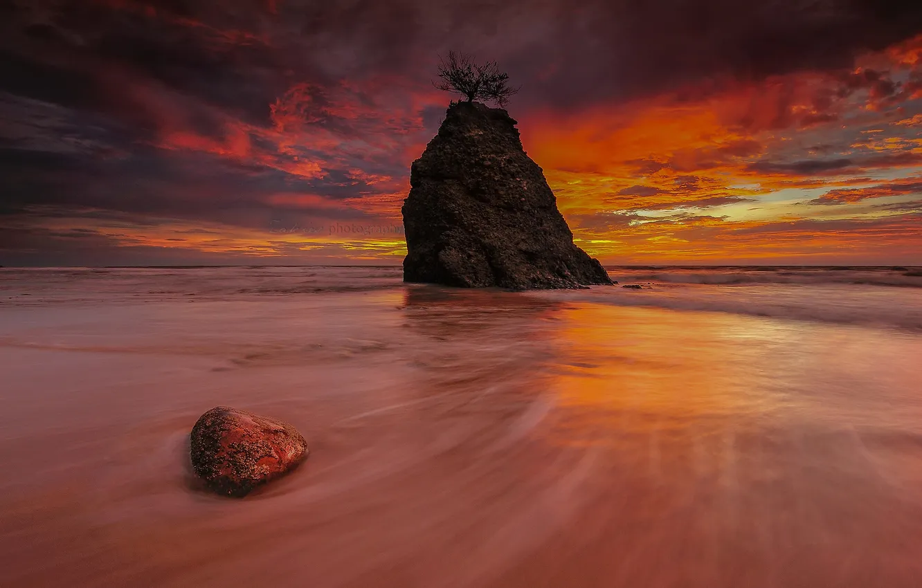 Фото обои волны, пляж, облака, закат, дерево, камень, горизонт