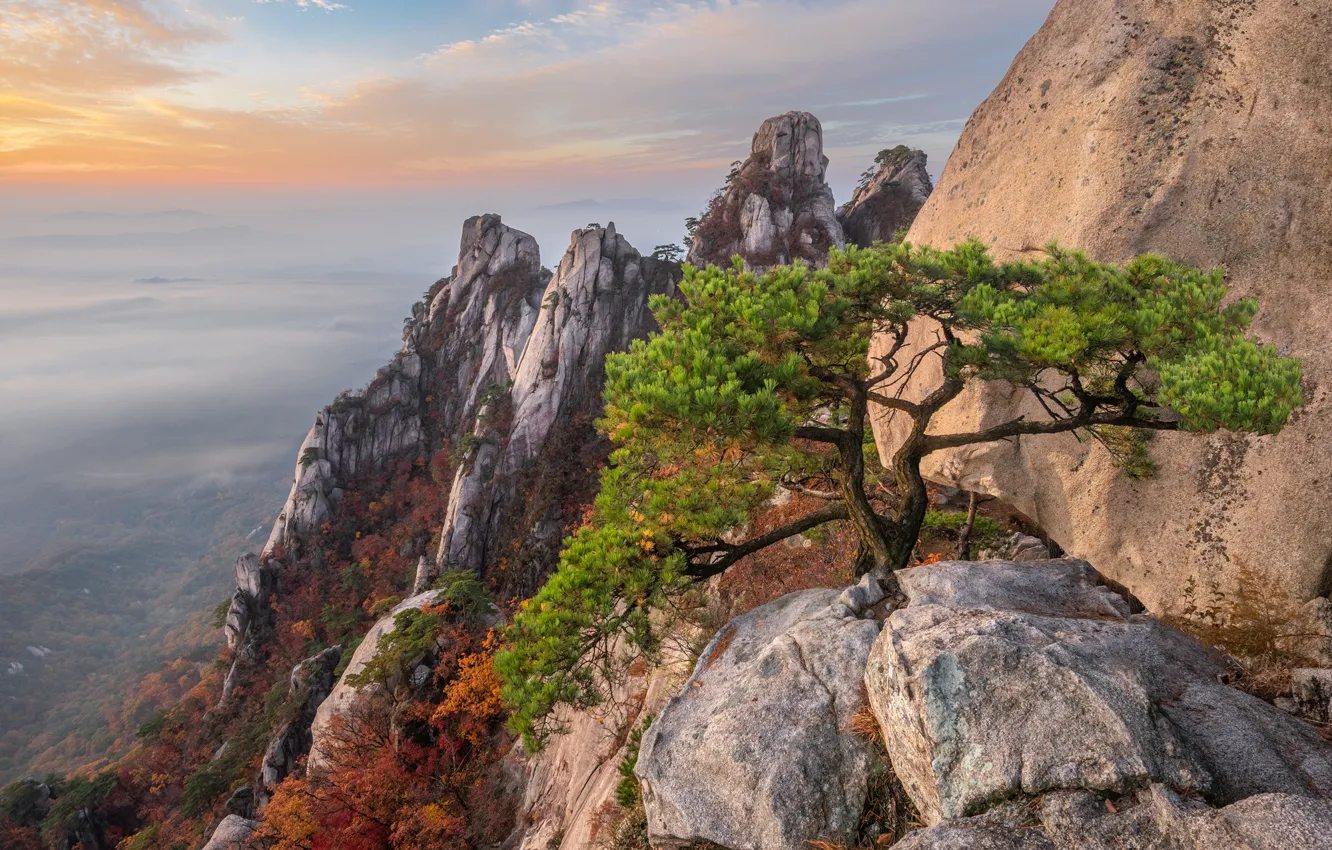 Фото обои осень, пейзаж, горы, природа, камни, дерево, скалы, леса