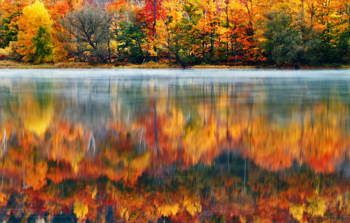 Фото обои лес, природа, озеро, краски, утро, США, Новая Англия, Нью-Гэмпшир