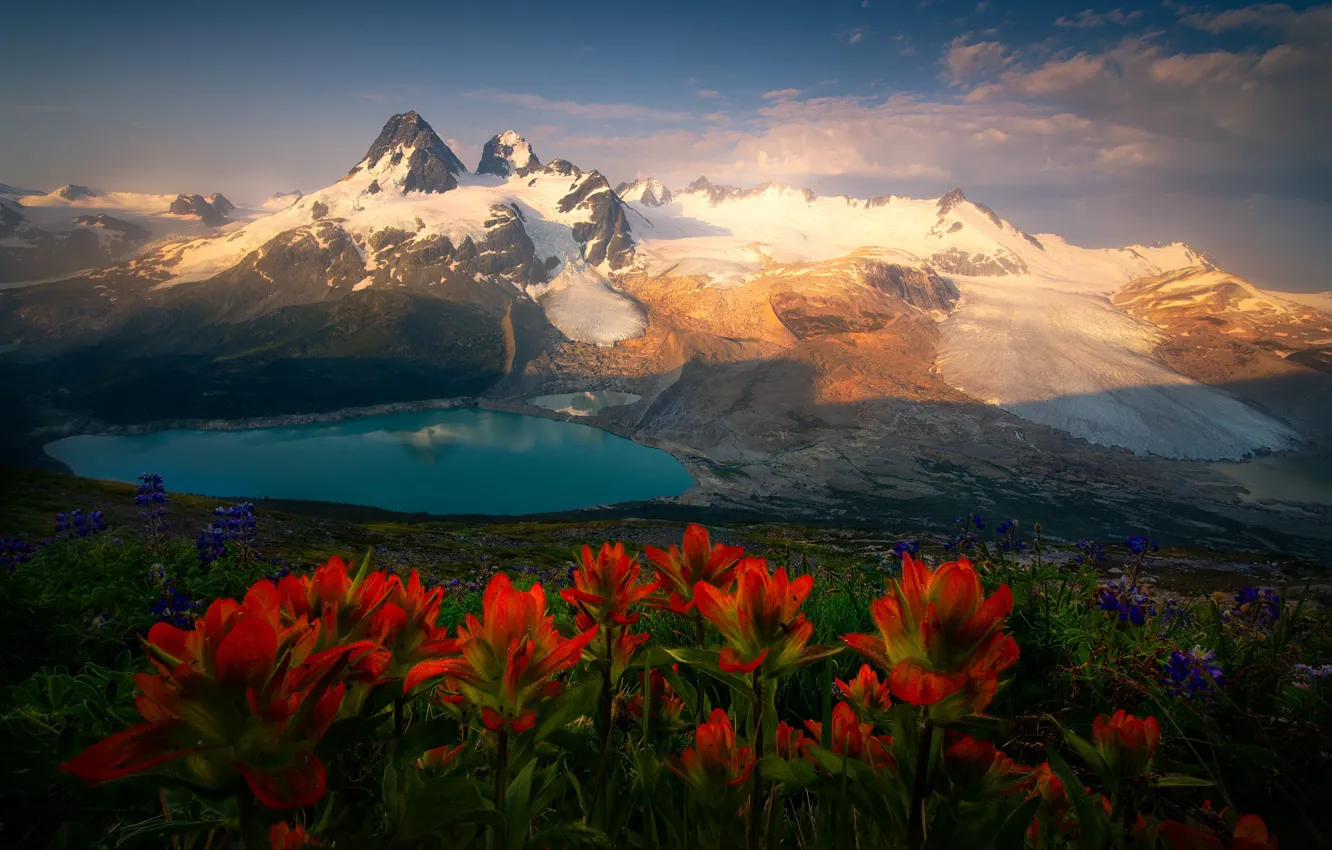 Фото обои пейзаж, цветы, горы, природа, озеро, утро, Канада, ледники