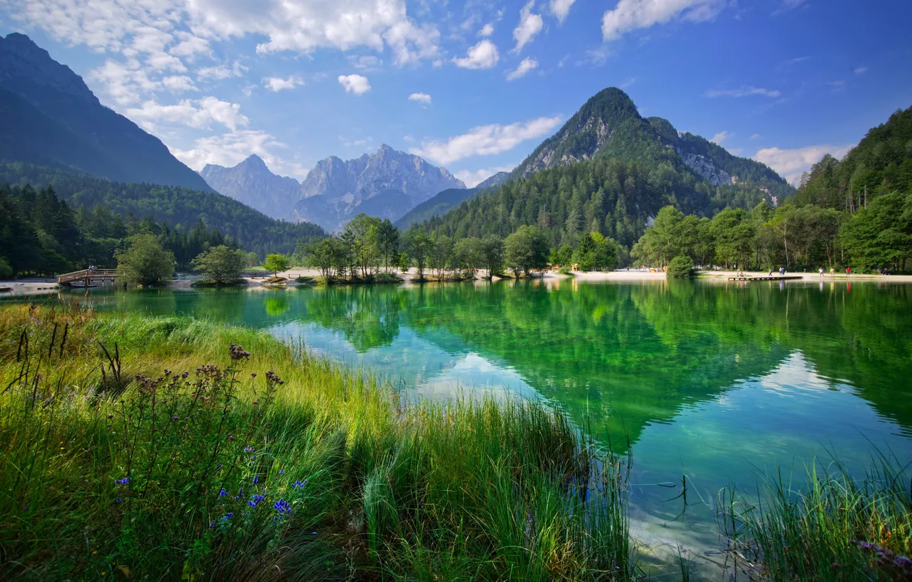 Фото обои деревья, горы, озеро, отражение, Словения, Slovenia, Kranjska Gora, Lake Jasna