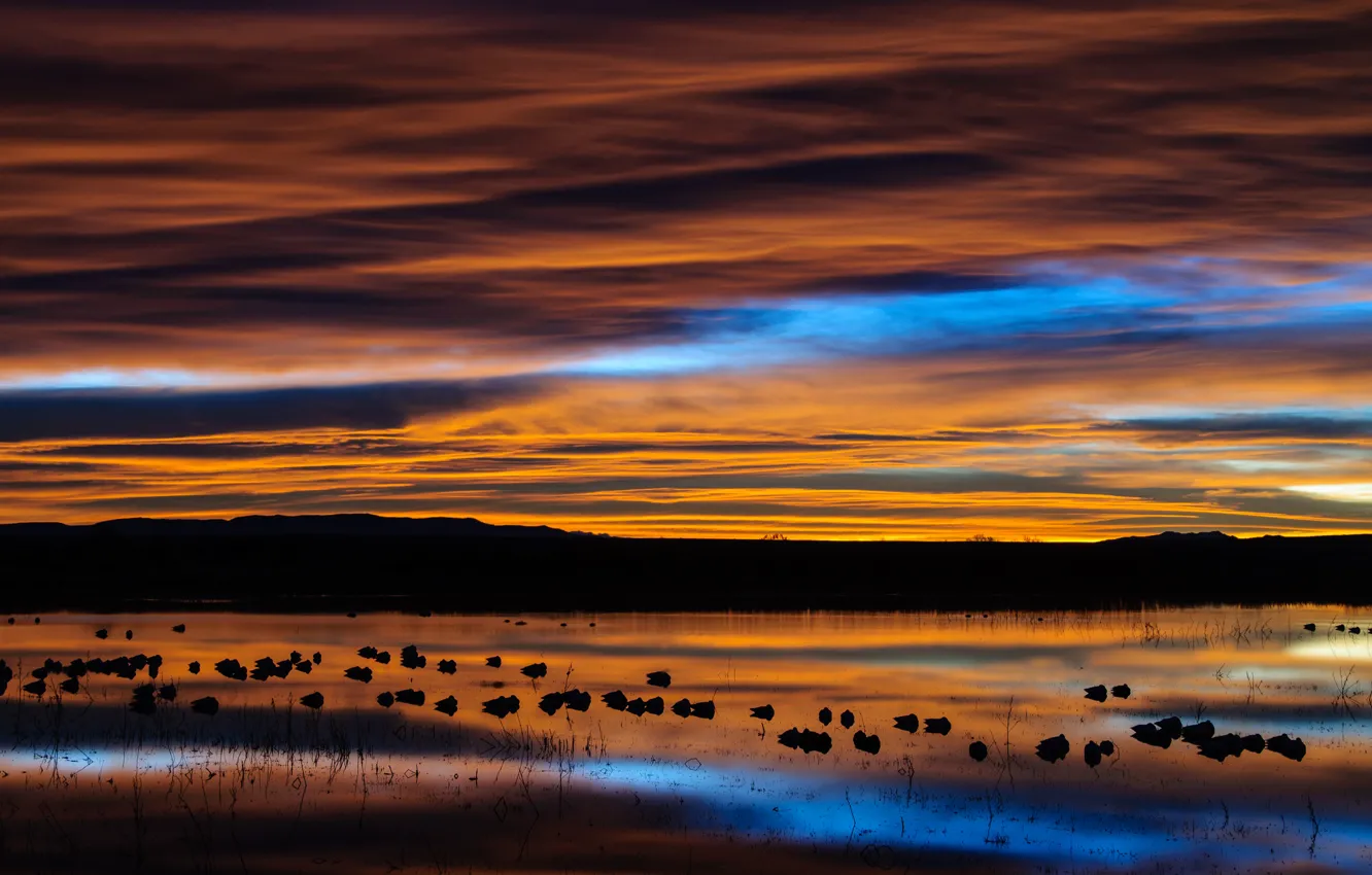 Фото обои небо, облака, птицы, озеро, отражение, рассвет, утро, США