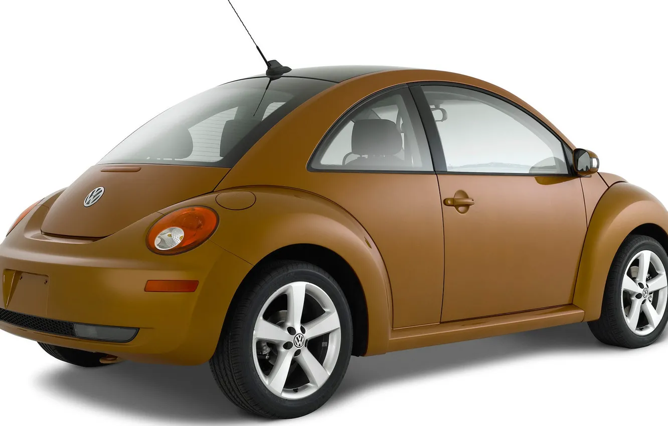 Фото обои жук, volkswagen, хэтчбек, beetle