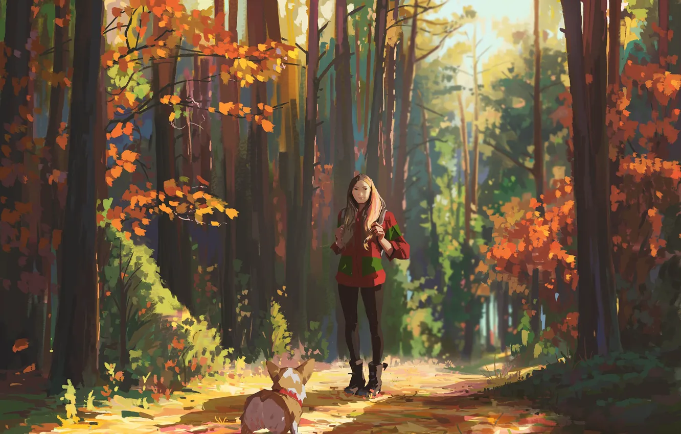 Фото обои осень, лес, девушка, прогулка, корги