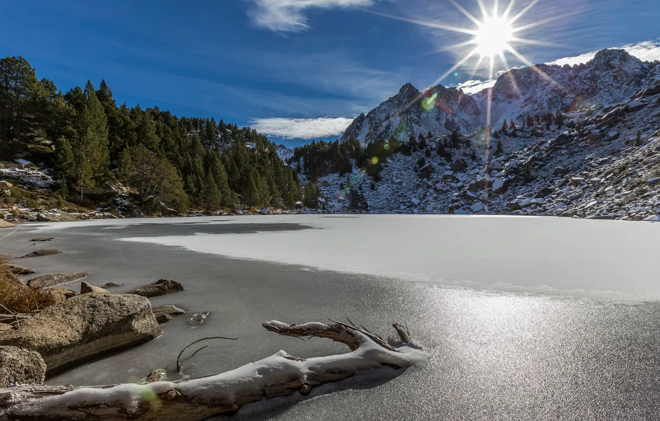 Фото обои лес, горы, озеро, Андорра, Andorra, Пиренеи, Moreno Lake, Estany Moreno