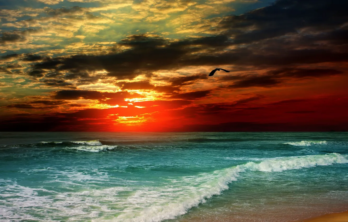 Фото обои море, волны, небо, закат, тучи, шторм, птица, буря