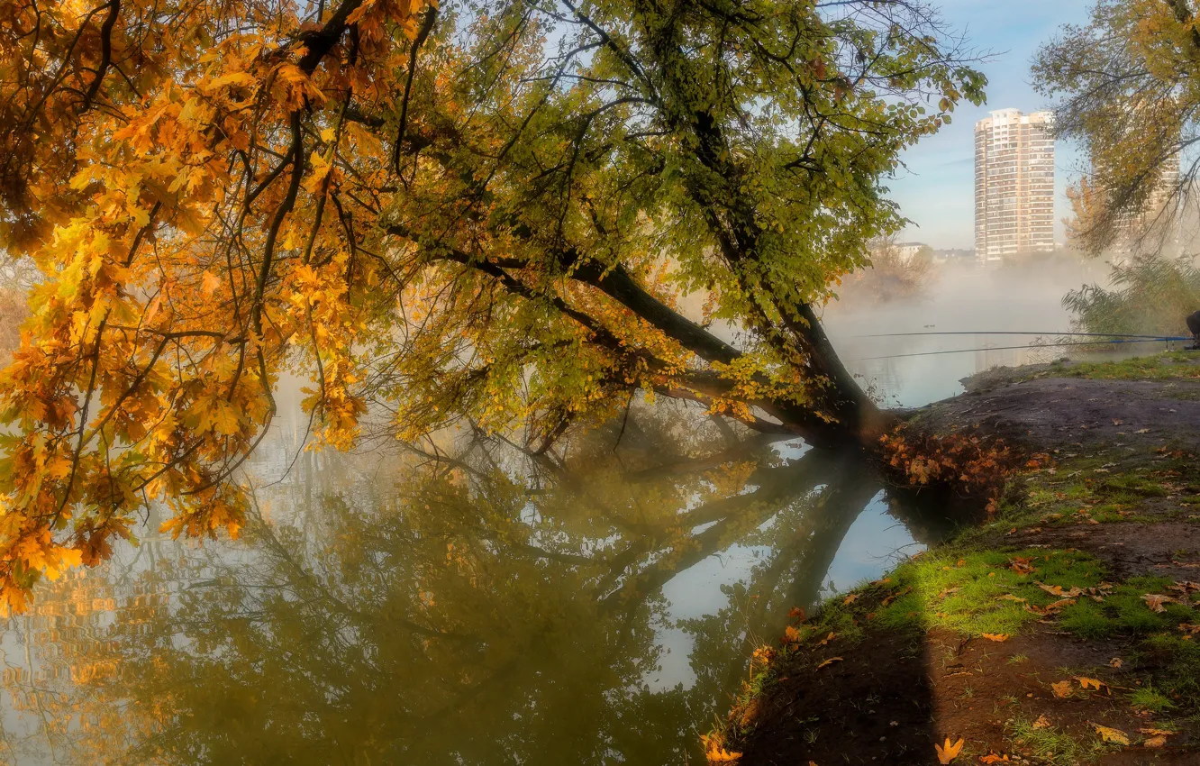 Фото обои осень, пейзаж, природа, пруд, дерево, дома, рыбак, Александр Плеханов