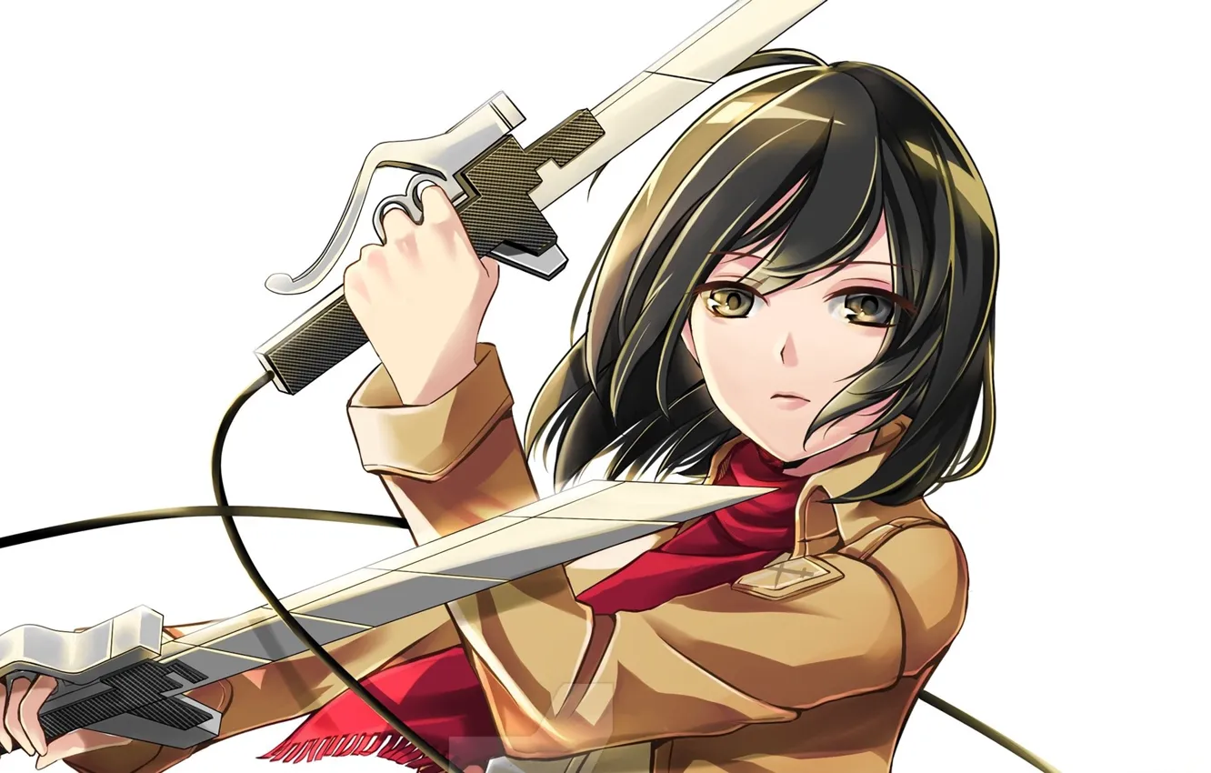 Mikasa steam artwork фото 92