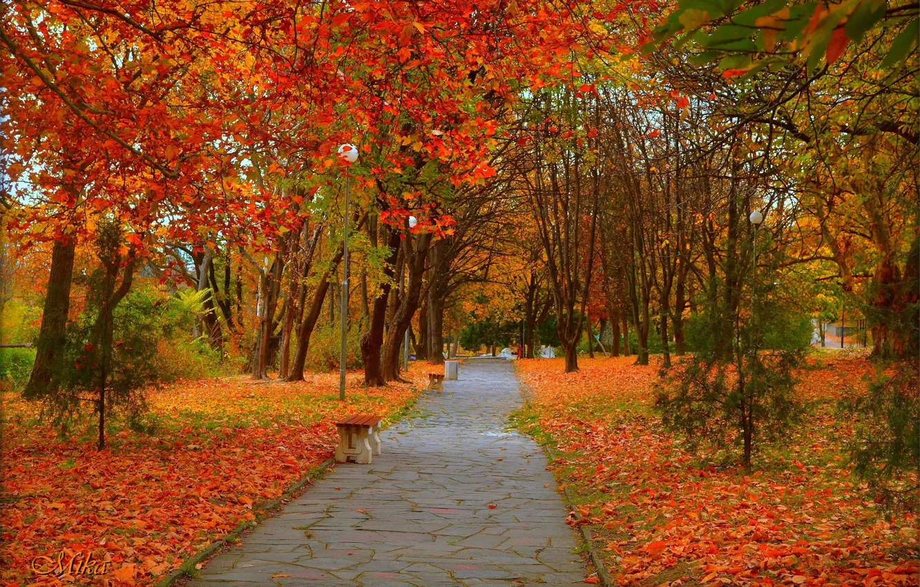 Фото обои Осень, Деревья, Парк, Аллея, Fall, Листва, Park, Autumn