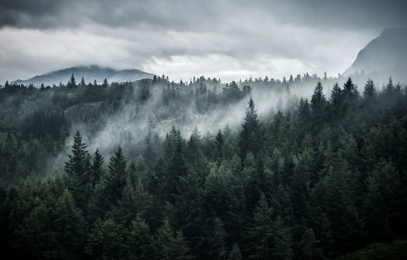 Фото обои лес, небо, деревья, горы, тучи, природа, Шотландия, Scotland
