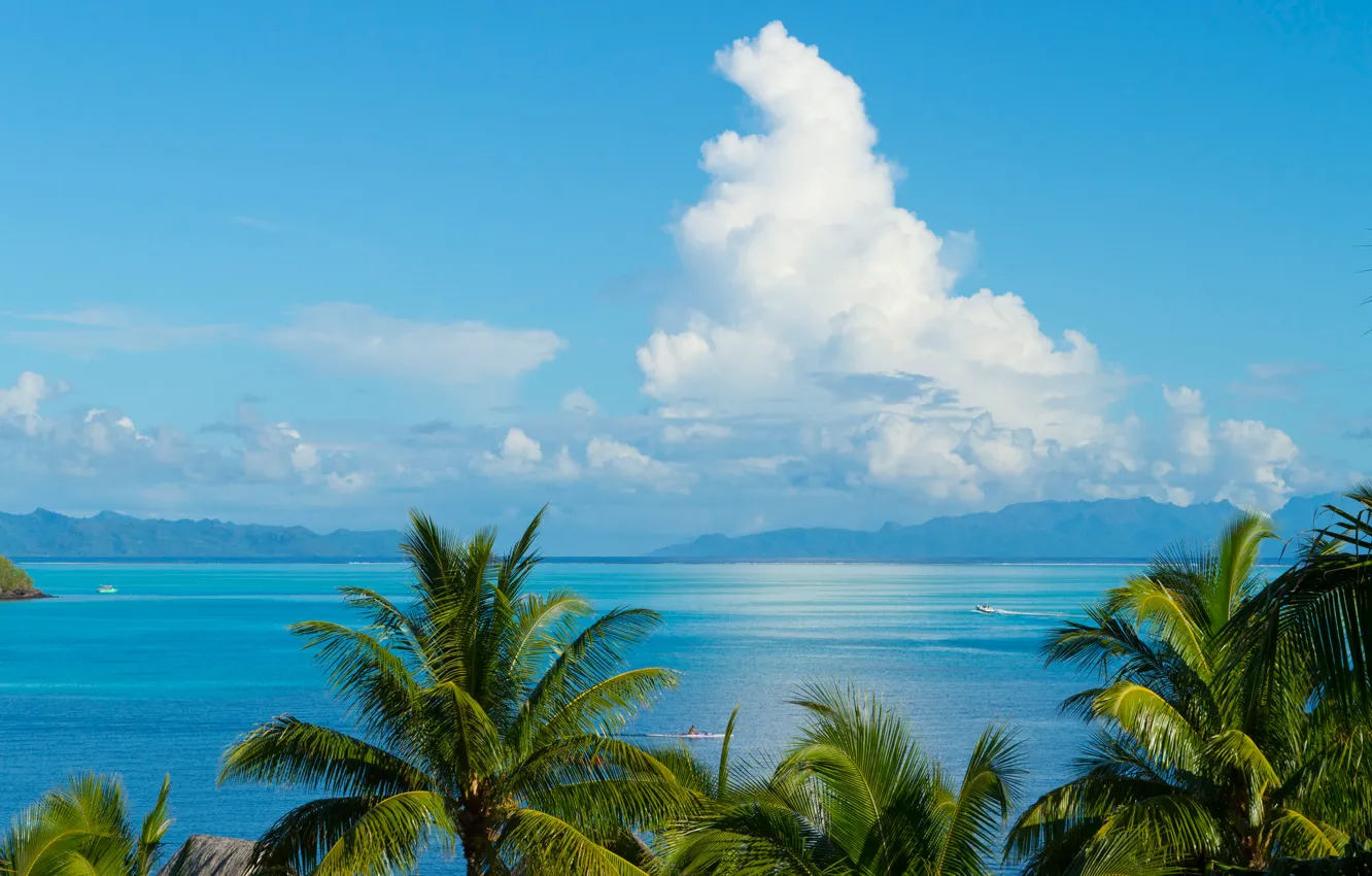 Фото обои море, облака, горы, пальмы, Тихий океан, Французская Полинезия, остров Таити