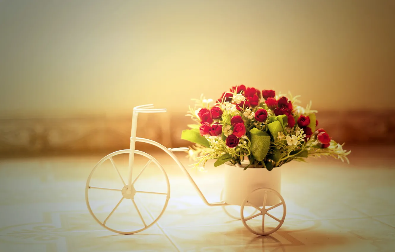 Фото обои цветы, велосипед, розы