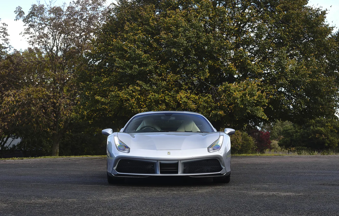 Фото обои Ferrari, 2018, 488, Ferrari 488 GTB "The Wedding Gift"