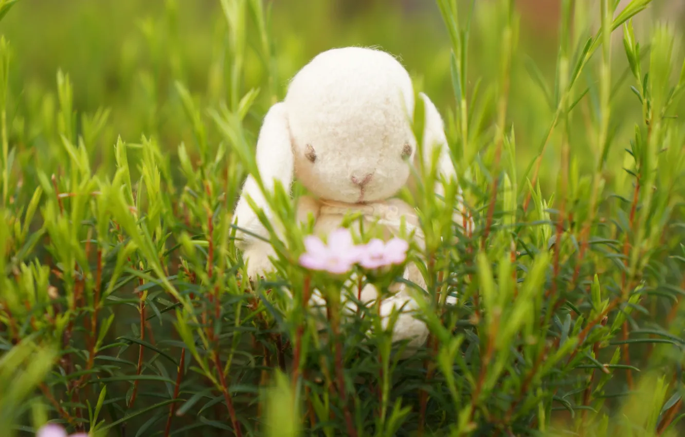 Фото обои трава, настроение, игрушка, кролик, зайка