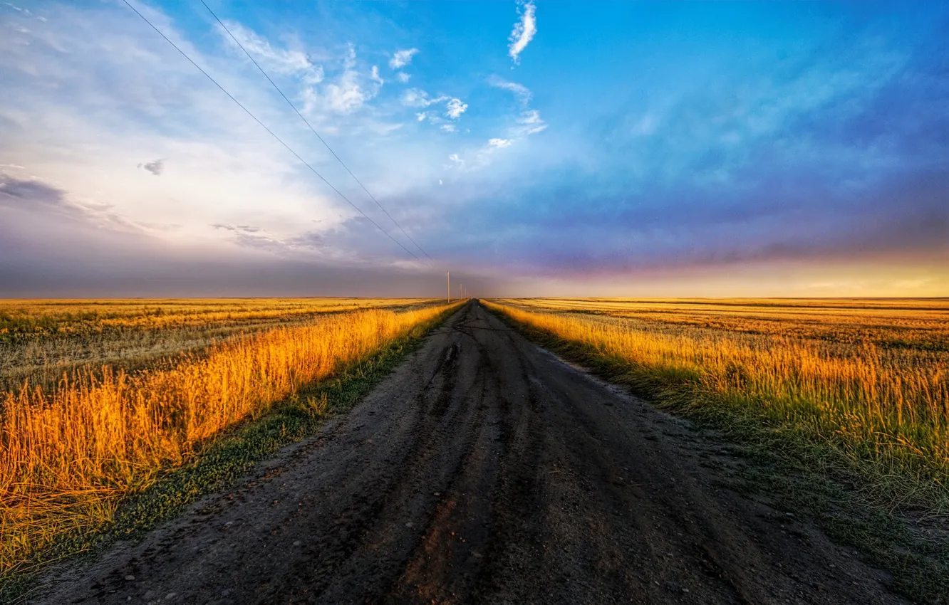 Фото обои дорога, поле, небо, 152, столы