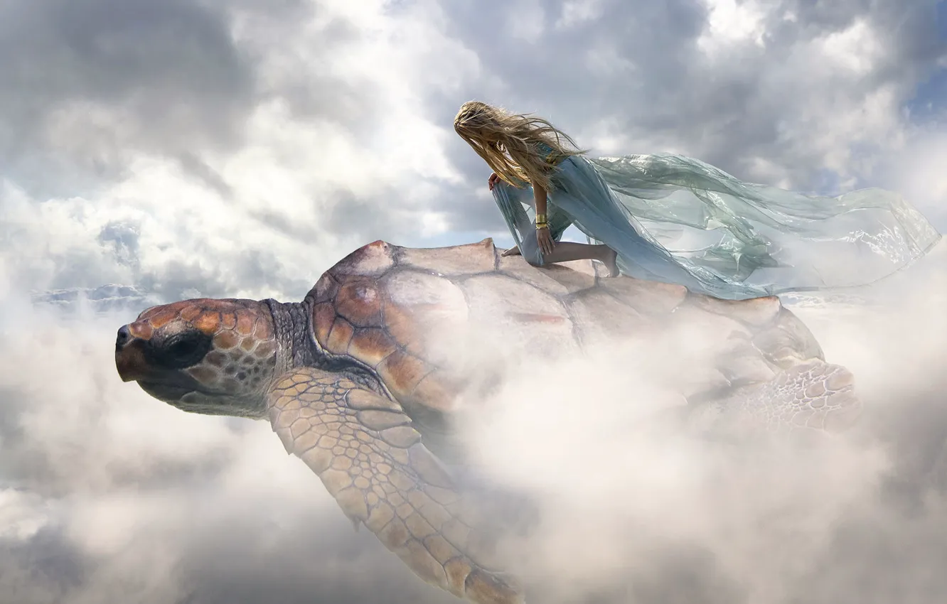 Фото обои девушка, облака, черепаха