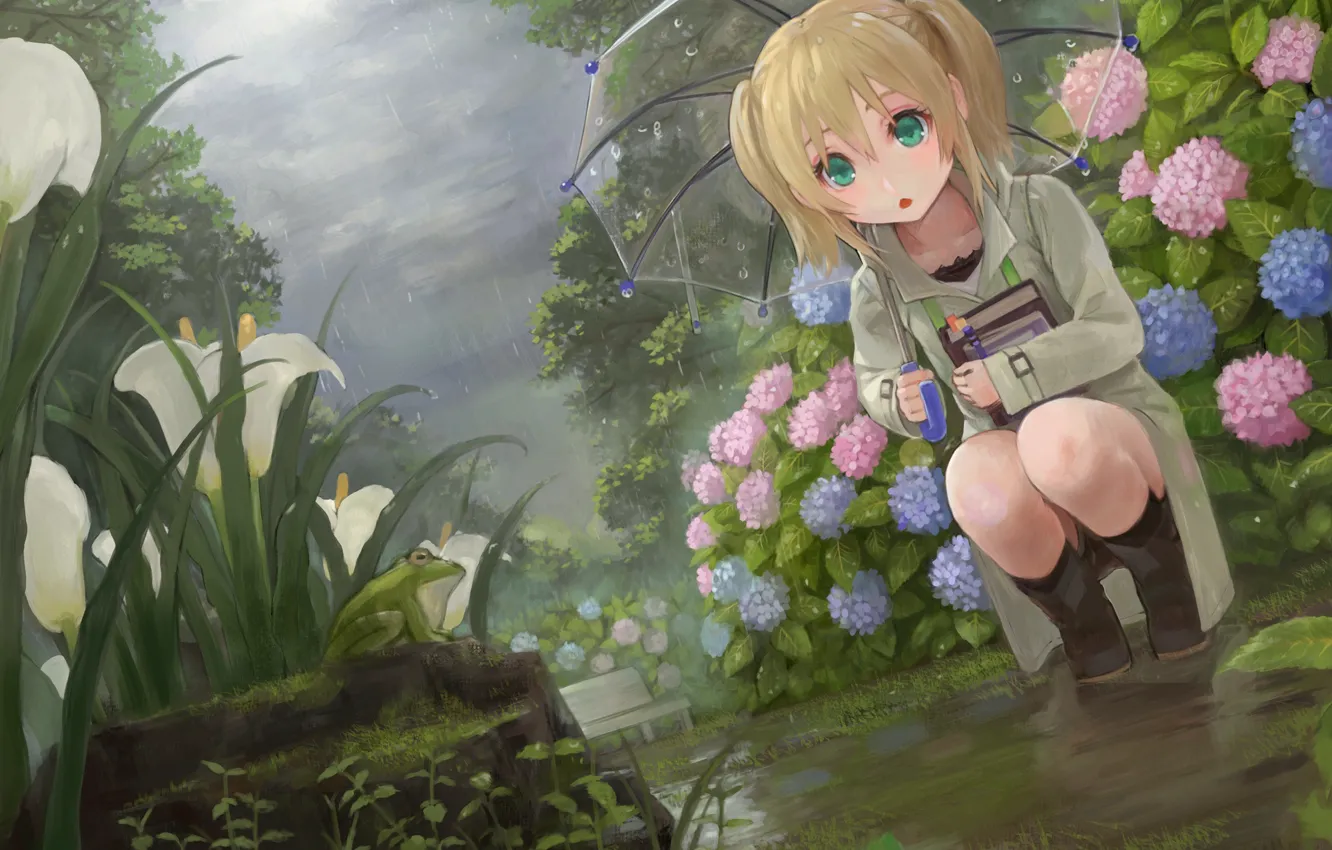 Фото обои цветы, дождь, лягушка, зонт, сад, девочка, клумба