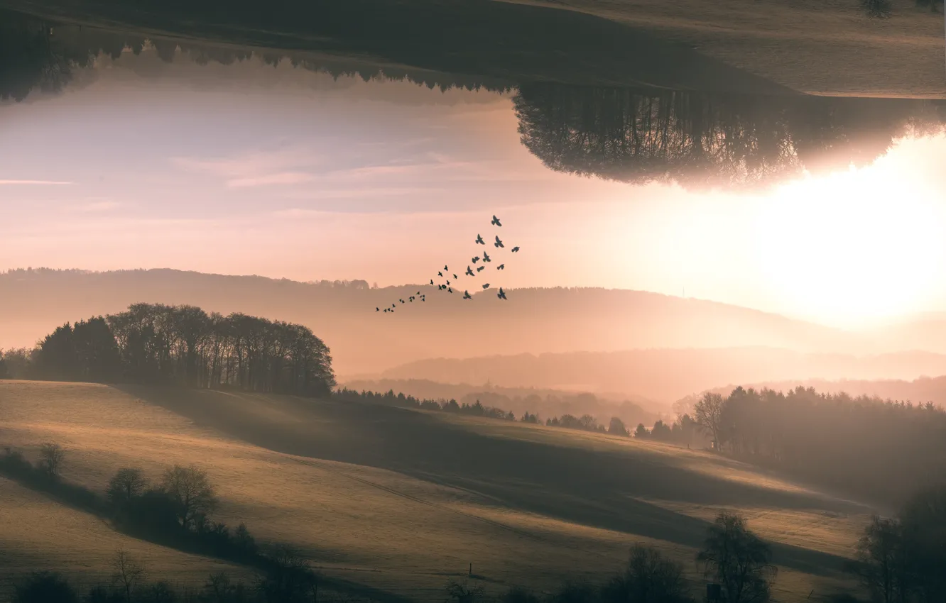 Фото обои деревья, холмы, птица, interplanar