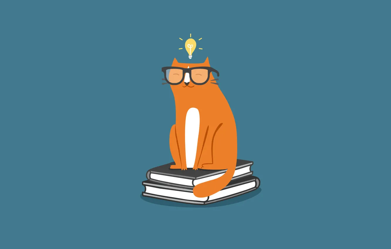 Фото обои кошка, кот, лампочка, книги, минимализм, очки, cat, учебники