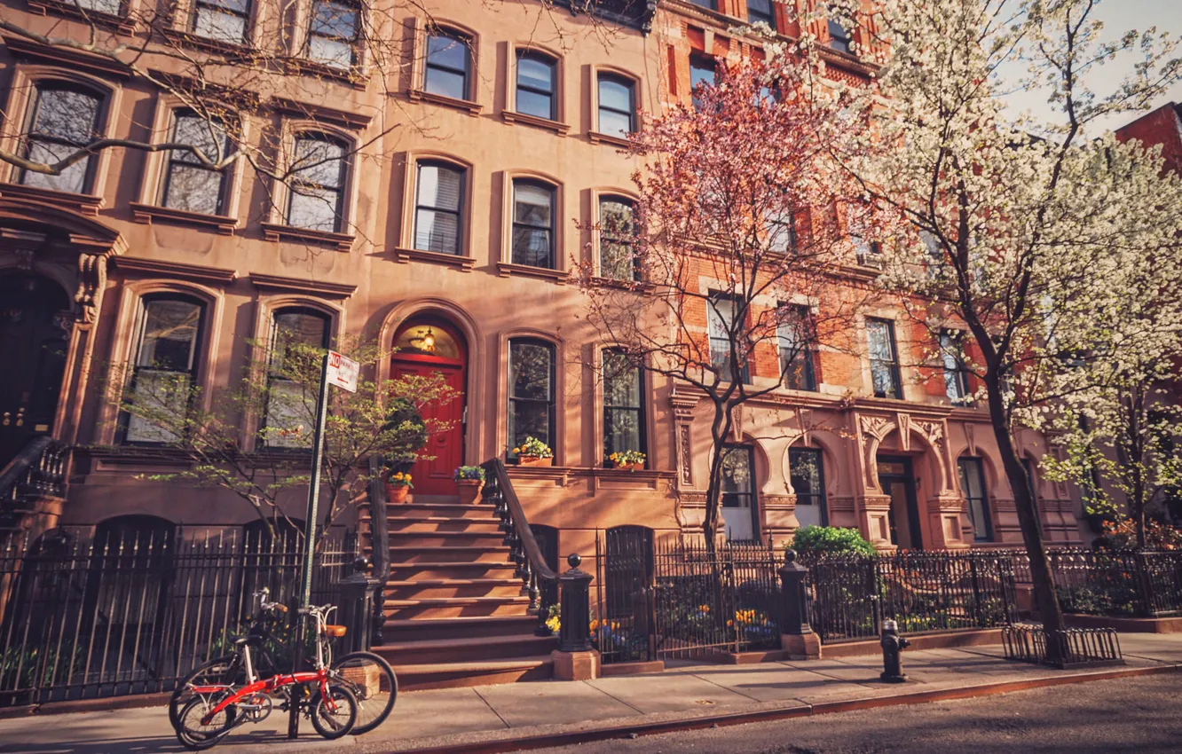 Фото обои деревья, велосипед, улица, здания, Нью-Йорк, Соединенные Штаты